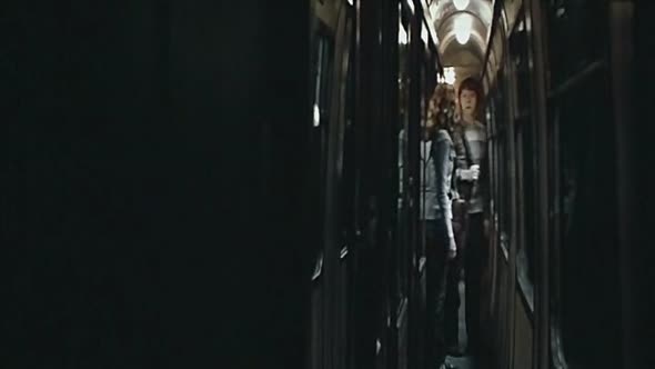 Náhled Harry Potter - Princ dvoji krve-cz dabing.avi (2)