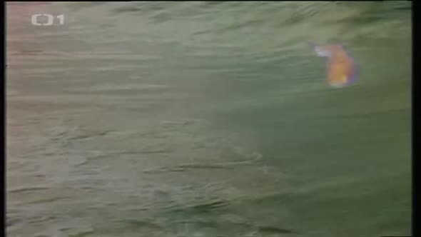 Náhled Paví král (1978) pohádka czdab.avi (4)