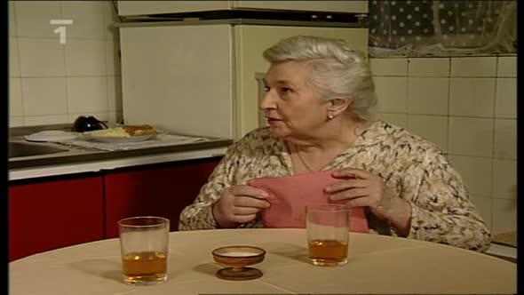 Náhled Intuice (Bakaláři) (1998).avi (1)