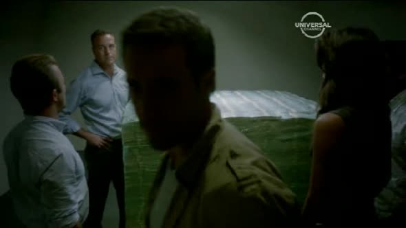 Náhled Hawaii 5-0 S04E22 -Rodina na prvním místě CZ dabing.avi (4)