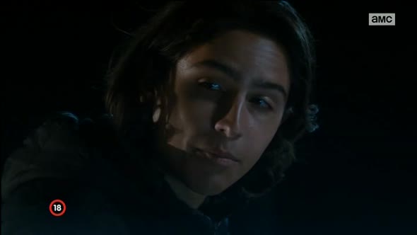 Náhled Fear The Walking Dead S02E04 CZ dabing by Adamek.avi (2)