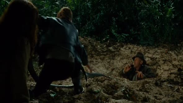 Náhled Indiana.Jones-Kralovstvi.kristalove.lebky.2008.480p.avi (7)