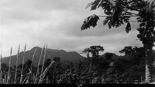 Náhled Cerny prapor (1958) Ceskoslovensko Drama Valecny.avi (2)