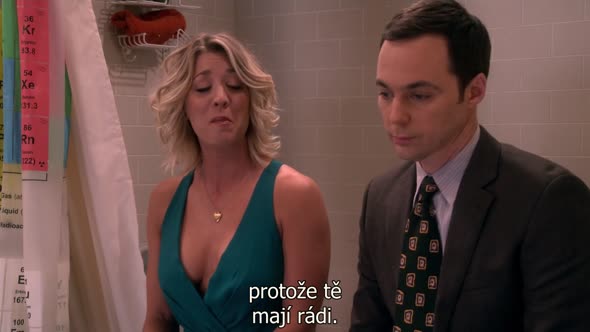Náhled The Big Bang Theory S09E17 - CZ-Titulky 720p.avi (8)
