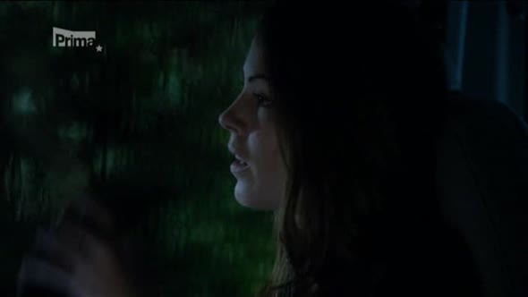Náhled Hawaii 5-0 S04E05 -Padlý hrdina CZ dabing.avi (1)