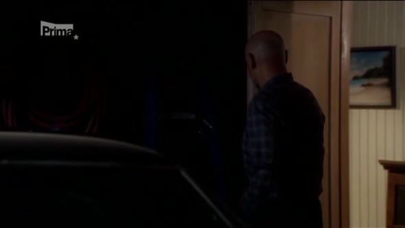 Náhled Hawaii 5-0 S04E05 -Padlý hrdina CZ dabing.avi (8)