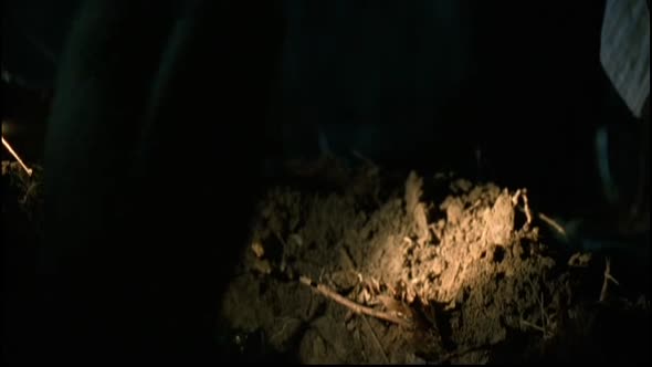 Náhled Hra-na-schovavanou-Dakota-Fanning-Robert-De-Niro---film-cz-dub-2005.avi (6)