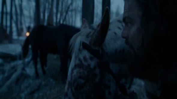 Náhled REVENANT Zmrtvýchvstání 2015 Cz dab..avi (8)