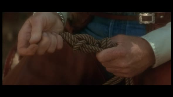 Náhled Zaříkávač-koní1998-DabingCz R.Redford-Habdy.avi (8)