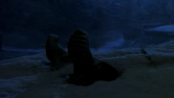Náhled Bouře-století---Storm-of-the-Century-1999,-CZ.avi (7)