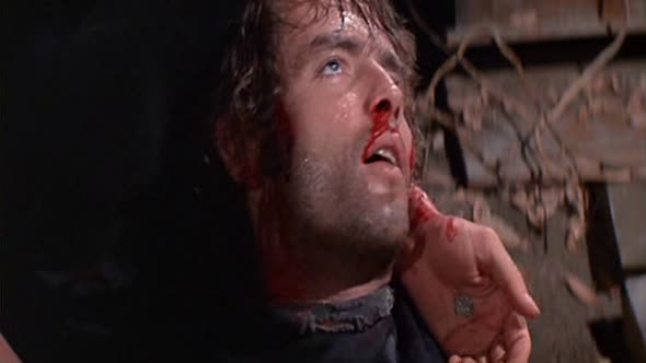 Náhled Loganuv-utek-1976-AC3-DVDRip-XviD-czdub.avi (10)