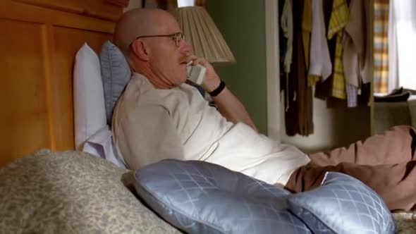 Náhled Breaking.Bad.S02E10.DVDRip.XviD-TRONDi.avi (1)