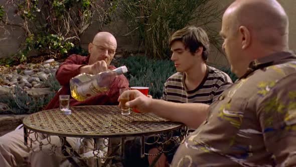 Náhled Breaking.Bad.S02E10.DVDRip.XviD-TRONDi.avi (3)