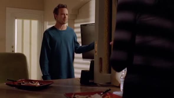 Náhled Breaking.Bad.S02E10.DVDRip.XviD-TRONDi.avi (8)