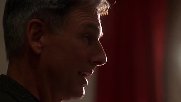 Náhled Námořní vyšetřovací služba - NCIS - S01E04 CZDAB.avi (8)