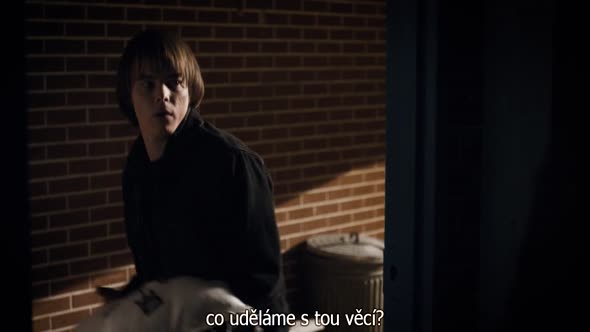 Náhled Stranger_Things_S01E07.720p.HDTV.CZ.Titulky.avi (8)