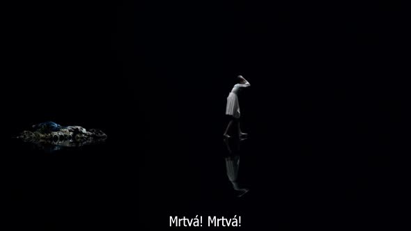 Náhled Stranger_Things_S01E07.720p.HDTV.CZ.Titulky.avi (10)