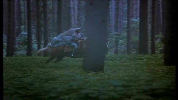Náhled Princezna Fantaghiro 3 E02 (1993) CZ dabing Fantasy Romanticky.avi (10)