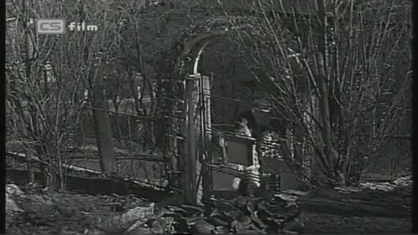 Náhled Harmonika (1937).avi (4)