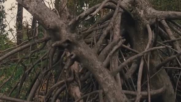 Náhled Mud (2012) CZ titulky.avi (9)