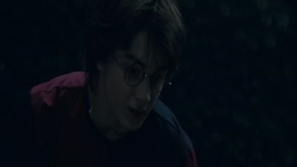 Náhled Harry Potter 4 a Ohnivá čaša, SK dabing (2005).avi (9)