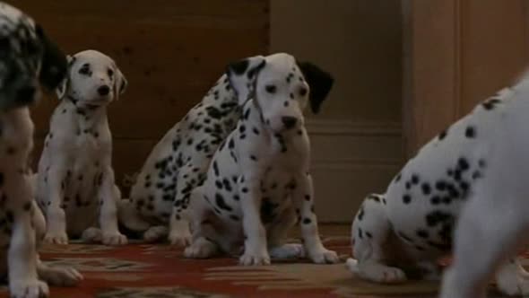 Náhled 101-dalmatinu-101-Dalmatians-1996-cz-dabing.avi (5)