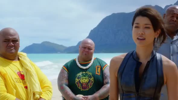 Náhled Hawaii 5-0 S05E23 - WEB-DL CZdabing.mkv (1)