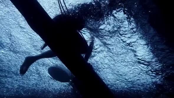 Náhled Hawaii 5-0 S05E23 - WEB-DL CZdabing.mkv (3)