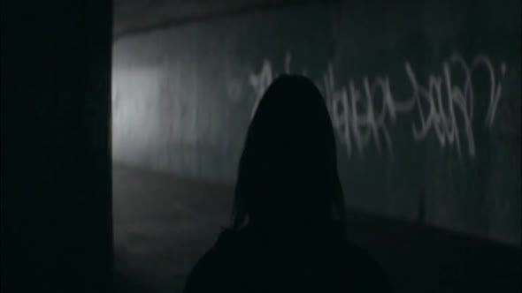 Náhled Ani ve snu ceskoslovensky 2016.avi (8)