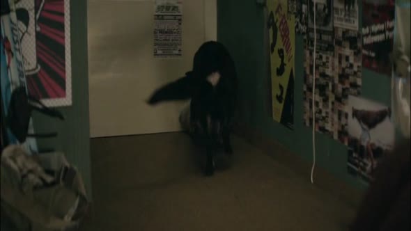 Náhled Ani ve snu ceskoslovensky 2016.avi (10)