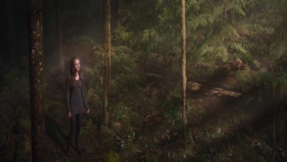 Náhled Twilight saga-Rozbresk 2.cast--Twilight Saga-Breaking Dawn Part Two,The 2012.avi (3)