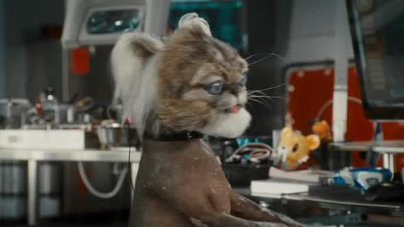 Náhled Jako-kočky-a-psi-Pomsta-prohnané-Kitty-(2010)-Komedie-CZ.avi (2)