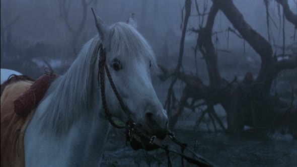 Náhled Nekonečný_pribeh-The.Neverending.story.(1984).1080p.CZ_.SK_dabing.mkv (4)