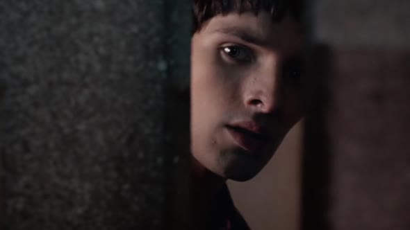 Náhled Merlin-S02E03-DVDRip-XviD-CZ.avi (1)