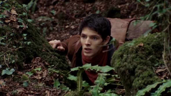 Náhled Merlin-S02E03-DVDRip-XviD-CZ.avi (8)