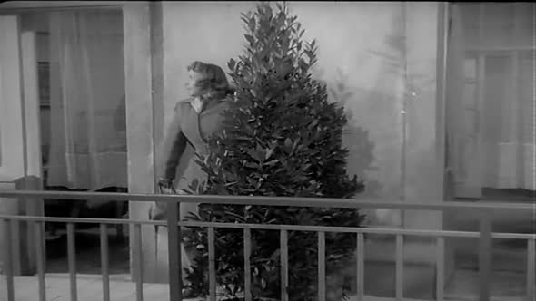 Náhled Nikdo nic neví (1947).avi (6)