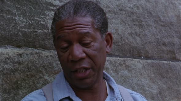 Náhled The.Shawshank.Redemption.1994.1080p.x264.YIFY.mp4 (9)