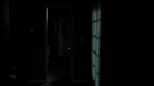 Náhled Sinister-2012-CZ.avi (6)