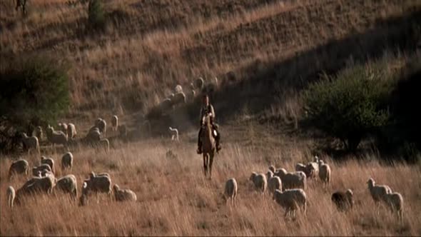 Náhled Pat-Garrett-a-Billy-Kid-1973-CZ-Western-Historický..avi (9)