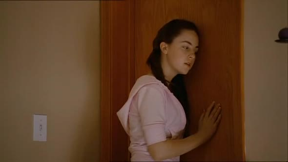Náhled Milionový pes Diamantový pejsek Komedie Rodinná DVDRip XviD CZ.avi (5)