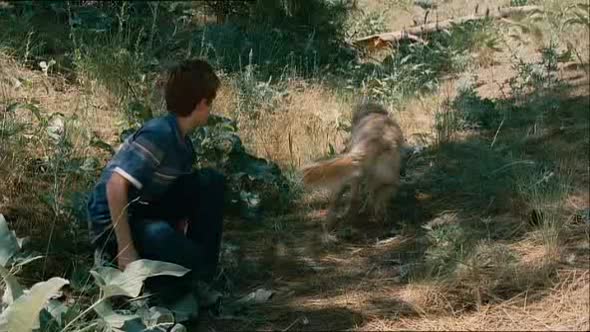 Náhled Milionový pes Diamantový pejsek Komedie Rodinná DVDRip XviD CZ.avi (7)