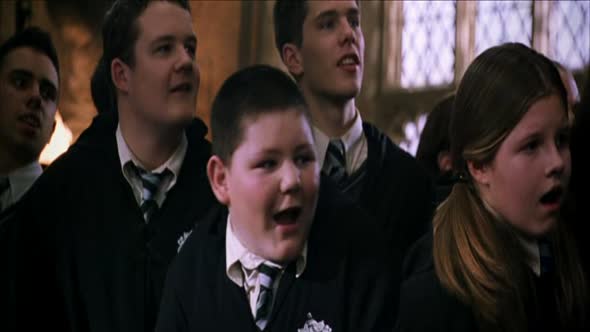 Náhled Harry Potter a Tajemná komnata .avi (5)