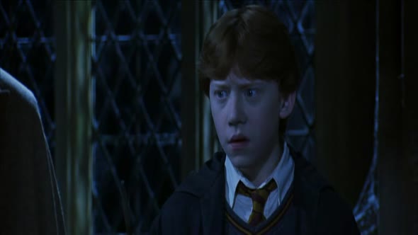 Náhled Harry Potter a Tajemná komnata .avi (9)