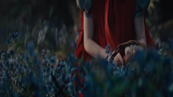 Náhled Čarovný les (Into the Woods).avi (2)