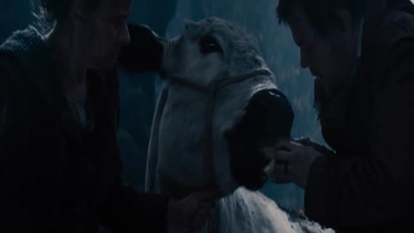 Náhled Čarovný les (Into the Woods).avi (7)