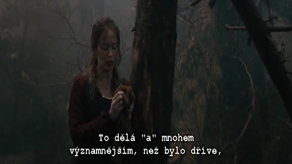 Náhled Čarovný les (Into the Woods).avi (9)