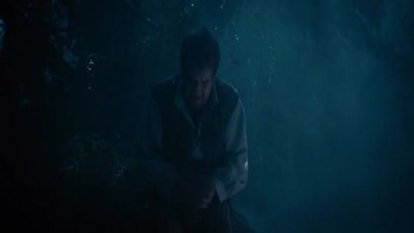 Náhled Čarovný les (Into the Woods).avi (10)