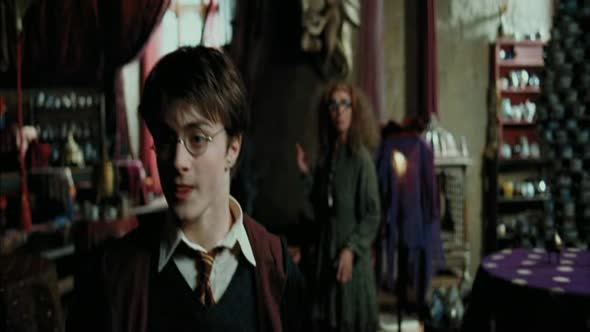 Náhled Harry Potter a vězeň z Azkabanu CZ.avi (7)