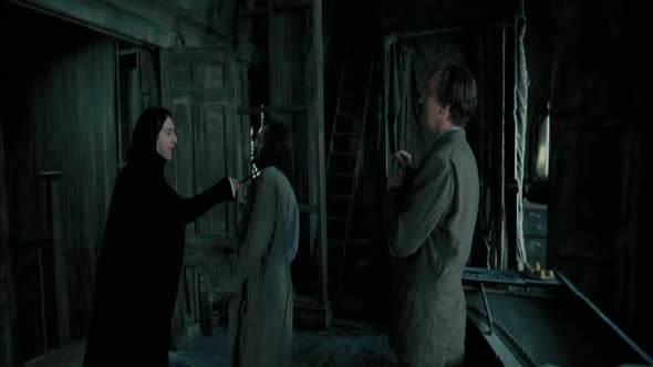 Náhled Harry Potter a vězeň z Azkabanu CZ.avi (8)