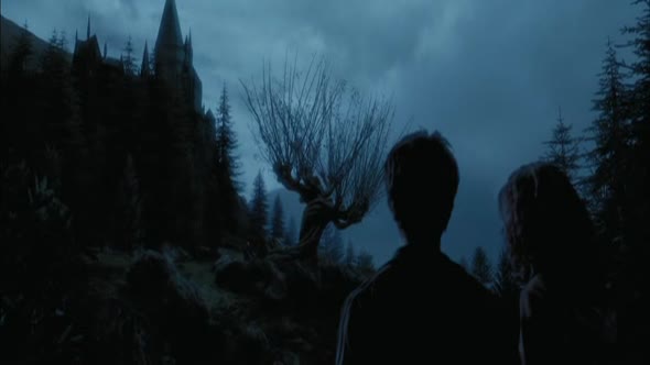 Náhled Harry Potter a vězeň z Azkabanu CZ.avi (10)